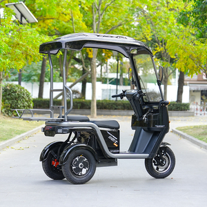 <span class=keywords><strong>Tricycle</strong></span> électrique 2 places avec auvent et porte-bagages, scooter à 3 roues pour personnes âgées, charge utile de 200-300 kg, autonomie de 50-70 km - Product Image 4