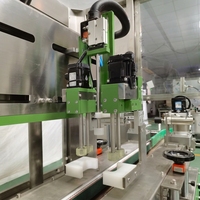 Chaîne de remplissage entièrement automatique avec pompe à engrenages, remplissage, bouchage, étiquetage et film rétractable pour bouteilles de détergent de 500 ml