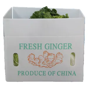 批发中国制造商回收可折叠PP波纹塑料Coroplast水果蔬菜包装盒