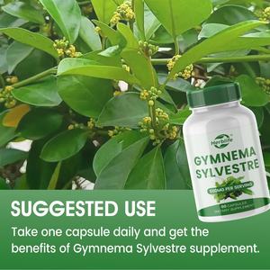 ओम गंध गर्म बिक्री हर्बल पूरक जिमनामा सीवेस्ट्रे अर्क कैप्सूल - Product Image 5