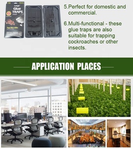 ホット販売工場卸売人道的なPVC黒接着剤トラップマウスマウスとラットキラー板紙 - Product Image 6