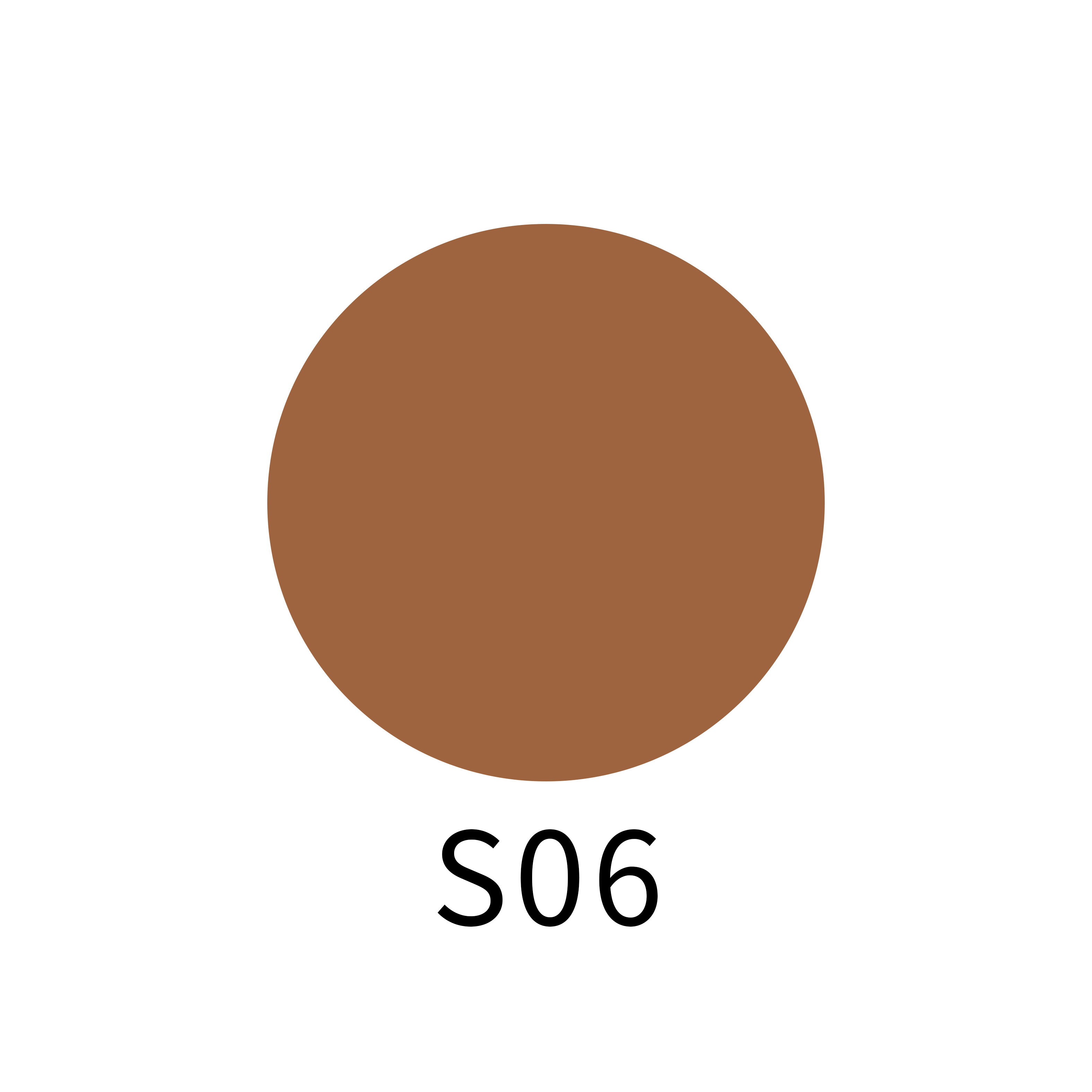 S06