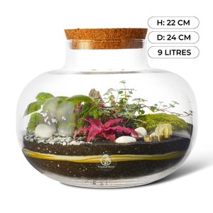 <strong>Complete</strong> 22cm DIY <strong>Terrarium</strong> Kit with Country-Style Decorations and Grows for Floor Usage-'Rome' Design for Your 'Rome' Garden