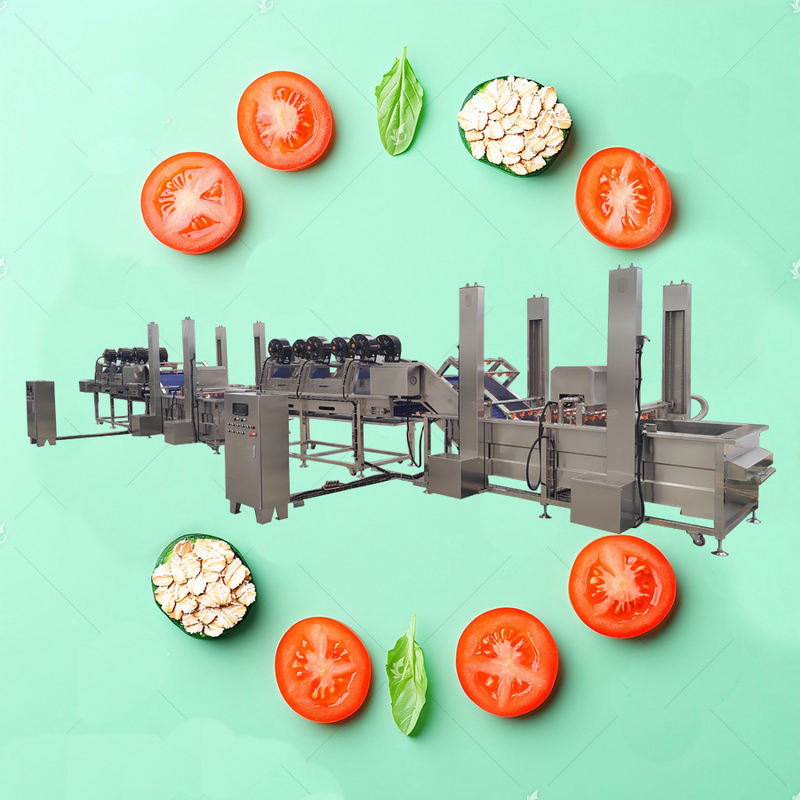 Industrial Fruit Vegetable Washing Machine with