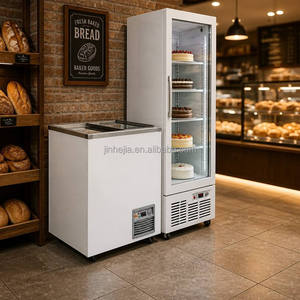 Congelatore orizzontale piccolo OEM con marchio personalizzabile, con ripiani regolabili per <span class=keywords><strong>gelateria</strong></span> e dessert surgelati - Product Image 3