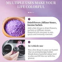 Set Minyak Esensial Lavender OEM ODM, Cold Pressed, Murni dari Tumbuhan, Tea Tree, Rosemary, Menenangkan, Membersihkan, Menyeimbangkan Kulit, Meredakan Iritasi