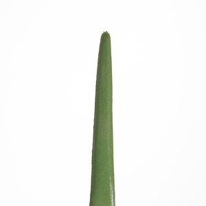 60cm Faux <span class=keywords><strong>Aloe</strong></span> <span class=keywords><strong>Vera</strong></span> Plante <span class=keywords><strong>Bureau</strong></span> Artificielle Succulente Plante En Pot pour Intérieur Maison Salon Décor - Product Image 3