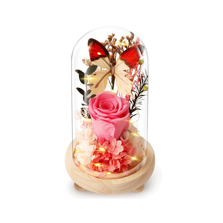 Rosa
