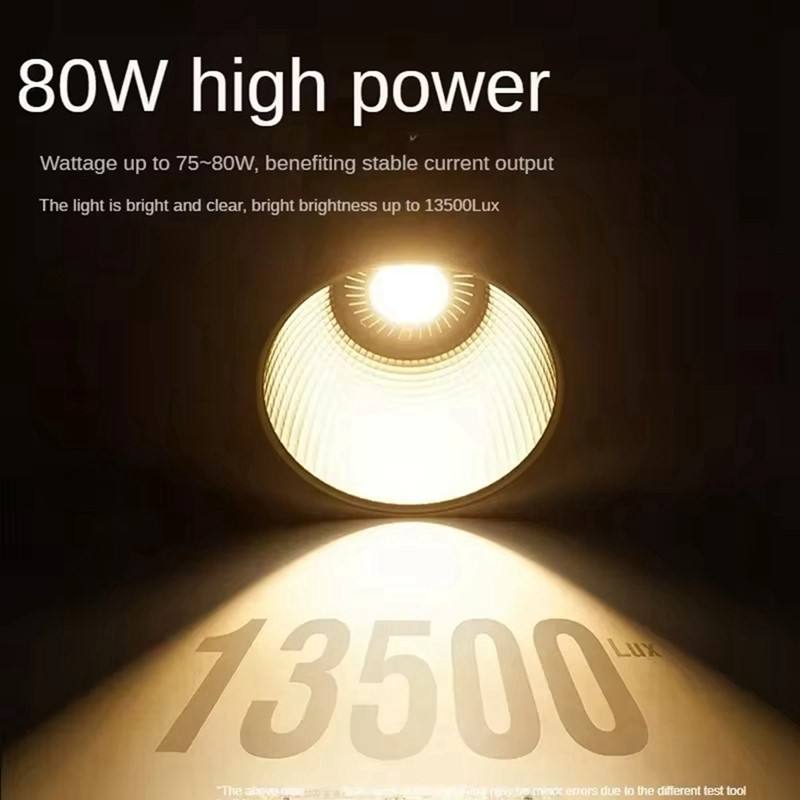 Hongdak 80W Portable LED Video Light Handheld Exterior Light COB High Power Filling Photography Light