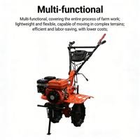 E-XIAPU Vente chaude 170f 7.5HP Mini-motoculteur thermique à essence pour usage agricole