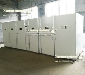 Incubateur à œufs <span class=keywords><strong>industriel</strong></span> entièrement automatique de grande capacité 50 000 œufs - Product Image 3