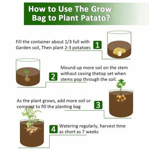 Bolsas de Cultivo para Cebollas, Tomates y Frutas de 10 Galones con Solapa y Asas - Product Image 4