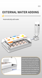 Wonegg Led Bò sát Thổ Nhĩ Kỳ 20 lồng ấp trứng giá gia cầm trứng lồng ấp để bán - Product Image 3