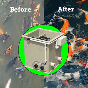 ตัวกรองแบบดรัมขนาดเล็กสำหรับ<span class=keywords><strong>บ่อ</strong></span>เลี้ยง<span class=keywords><strong>ปลา</strong></span>โคเวเตอร์พร้อมแสงยูวี1320แกลลอนต่อชั่วโมง5<span class=keywords><strong>ตัน</strong></span>ต่อชั่วโมงตัวกรองแบบหมุนสำหรับตู้<span class=keywords><strong>ปลา</strong></span>ฟาร์มปลาในบ่อเลี้ยงปลา - Product Image 5