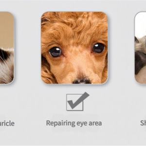 Kit de Aseo para Mascotas Recargable por USB, Máquina Cortadora de Pelo, Depiladora Eléctrica para Perros y Gatos - Product Image 6