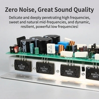 1494/3858 400W Carte d'amplificateur stéréo 2.0 canaux haute puissance Produit audio