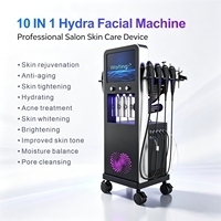 Appareil de beauté facial professionnel vertical 10 en 1, appareil de soin de la peau, nettoyage en profondeur, lifting, hydratation, équipement pour salon de beauté