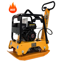 Compacteur à plaque vibrante GZD essence/électrique/diesel avec logo personnalisé pour l'aménagement paysager et le pavage