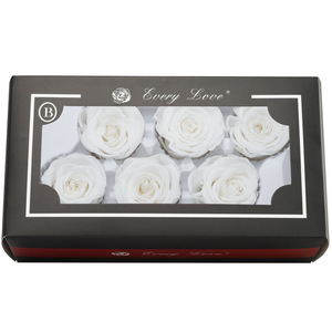 Têtes de roses éternelles préservées de 5-6 cm - <span class=keywords><strong>Prix</strong></span> d'usine, longue durée (3-5 ans) pour décorations de Noël et de Thanksgiving - Product Image 5