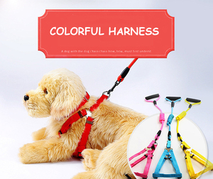 Set kerah dan tali anjing nilon, sabuk tali hewan peliharaan nyaman dengan pegangan busa pelepasan cepat - Product Image 6