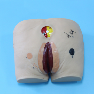 Gelişmiş Decubitus ülser bakım simülatörü modeli Decubitus yara bakım modeli - Product Image 2