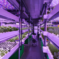 Systèmes d'agriculture verticale en conteneurs hydroponiques pour fermes intelligentes, conçus en usine, pour la culture de la laitue et des légumes à feuilles