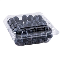 Vente en gros Boîte transparente personnalisée pour les fruits, les myrtilles, les fruits, les fraises, les cerises Emballage en plastique Contenants alimentaires Panier en coquille de palourde avec couvercles