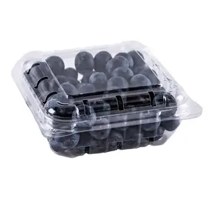 Bán buôn tùy chỉnh rõ ràng Blueberry Berry hộp trái cây dâu tây Cherry nhựa bao bì thực phẩm container vỏ Ngao giỏ có nắp đậy