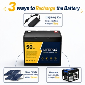 Batterie solaire à décharge profonde 12,8 V 50 Ah LiFePO4 au lithium pour système d'énergie solaire et stockage d'énergie - Product Image 4