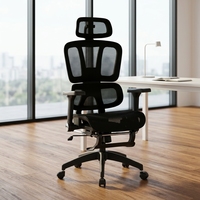 Chaise de bureau exécutive ergonomique professionnelle, pivotante, réglable, respirante, à dossier haut, en maille, noire, la moins chère