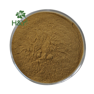 Водорастворимый порошок бакозида 50% экстракта <span class=keywords><strong>Bacopa</strong></span> <span class=keywords><strong>Monnieri</strong></span> - Product Image 4