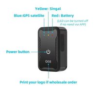 Collier de suivi GPS OEM mini chat chien enfant suivi Gps en temps réel haute précision 4G WIFI GPS utilisation mondiale Tracker avec application gratuite