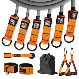 Bandas de Resistencia para Ejercicio en Casa, TPE de Alta Elasticidad, Certificación CE, 300 Libras, con Agarraderas para Gimnasio, Equipo para Principiantes - Product Image 1