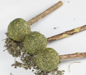 Planta Natural para limpieza de dientes de gato, palitos para masticar, hierba gatera, piruleta, juguete para gato - Product Image 3