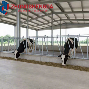 Establo de Acero para Ganado Lechero, Establos Abiertos para Vacas, Comederos Galvanizados con Certificación CE, Pasillos de Alimentación Prefabricados para Ganado - Product Image 1