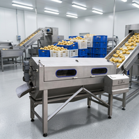 Commerciële aardappel- en groenteschilmachine van roestvrij staal voor wortelen, gember, cassave, taro en voedselverwerking