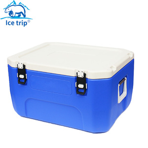 ice bolsa kmart