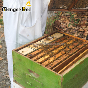 Mangeoire à abeilles pratique de 6,5 L en plastique avec couvercle en bois pour nourrir les abeilles avec du miel, de la nourriture et de l'eau - Product Image 3