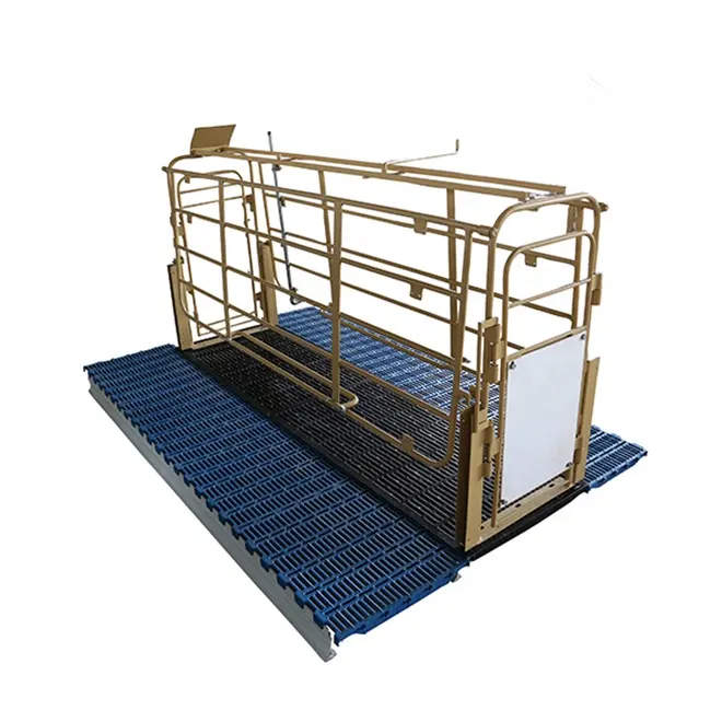 Hot sale solid rod galvanized steel farrowing crates plastic slats floor for sale metal sow farrowing pen crate cage