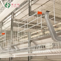 Nouvel équipement automatique de ponte de type H pour poules pondeuses, cages pour élevages avicoles