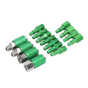 Ensemble de connecteurs rapides ARO sud-américains 1/4 NPT, 14 pièces, pièces pneumatiques en oxyde d'aluminium - Product Image 1