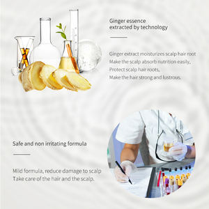 Set de Champú y Acondicionador Personalizado para el Cuidado del Cabello con Jengibre, Anticaspa, Orgánico, para Cabello Seco, con Aceite de Argán, Tinte para el Cabello en Botella - Product Image 5