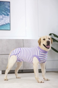 Großhandel Winter Protective Pet Bodysuit Chirurgische Erholungs weste für Katzen und Hunde mit Anti-Licking-<span class=keywords><strong>Shirt</strong></span> für Bauch wunden - Product Image 5