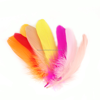 Großhandel Bulk natürliche bunte Gänse flügel Federn 13-17CM gefärbte große schwimmende Gänse feder für Hochzeits feier Dekor DIY Handwerk