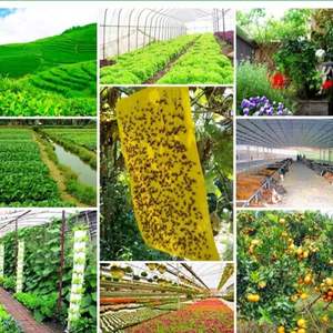 गुणवत्ता की गारंटी के साथ अद्वितीय फल फ्लाई पकड़ने जाल चिपचिपा गोंद बोर्डों - Product Image 6