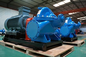 ปั๊มดูดสองทาง QS ประสิทธิภาพสูงสำหรับระบบประปาในเขตเทศบาล - Product Image 2