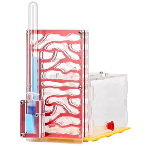 Formicaio Moderno Classico Fai-da-te in ABS, Legno e Acrilico con Area di Alimentazione, Cucina Esterna <span class=keywords><strong>per</strong></span> <span class=keywords><strong>Formiche</strong></span> - Vari Modelli - Product Image 4