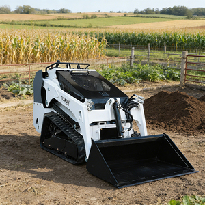 Hot Sale Cheap Price <strong>Skid</strong> <strong>Steer</strong> Wheel/ Track <strong>Mini</strong> <strong>Skid</strong> <strong>Steer</strong> <strong>Loader</strong> With Stump Grinder Attachments - Product Image 4