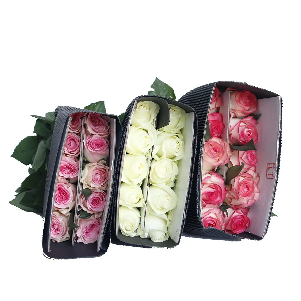 Wettbewerbs fähiger Preis Dounan Flower Market Home Hochzeits dekor Langer Stiel Weiche rosa Rosen Frisch geschnittene Blumen aus China