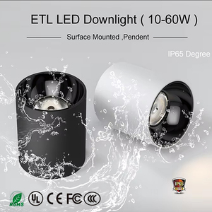 Faretto LED Impermeabile IP44 Lumiera 12W20W30W Antiappannamento e Antiriflesso in Alluminio a Montaggio Aperto per Uso Interno ed Esterno - Product Image 6